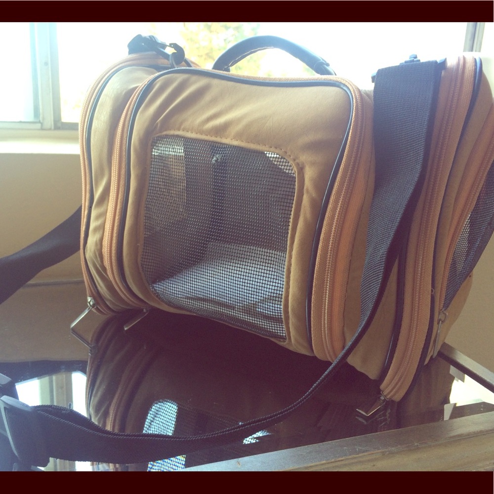 Small leather pet carrier